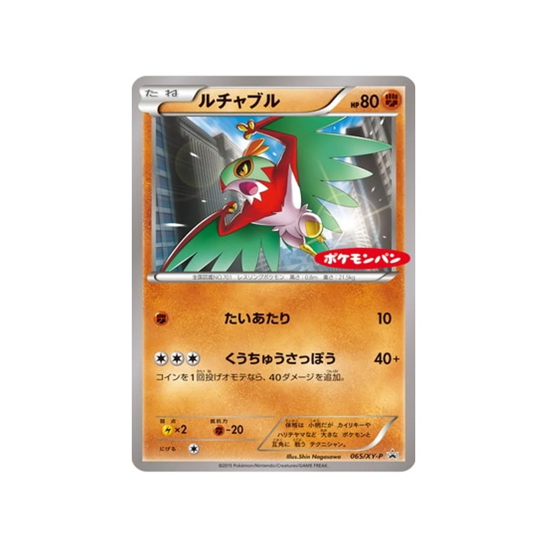 Cartes Pokémon Carte Promo XY (XY-P)