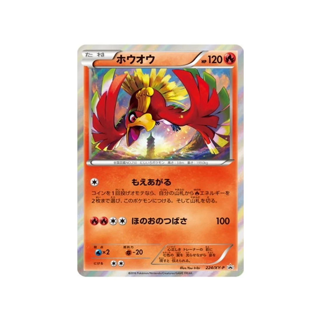 Carte Pokémon Carte Promo XY XY-P 224/XY-P : Ho-Oh